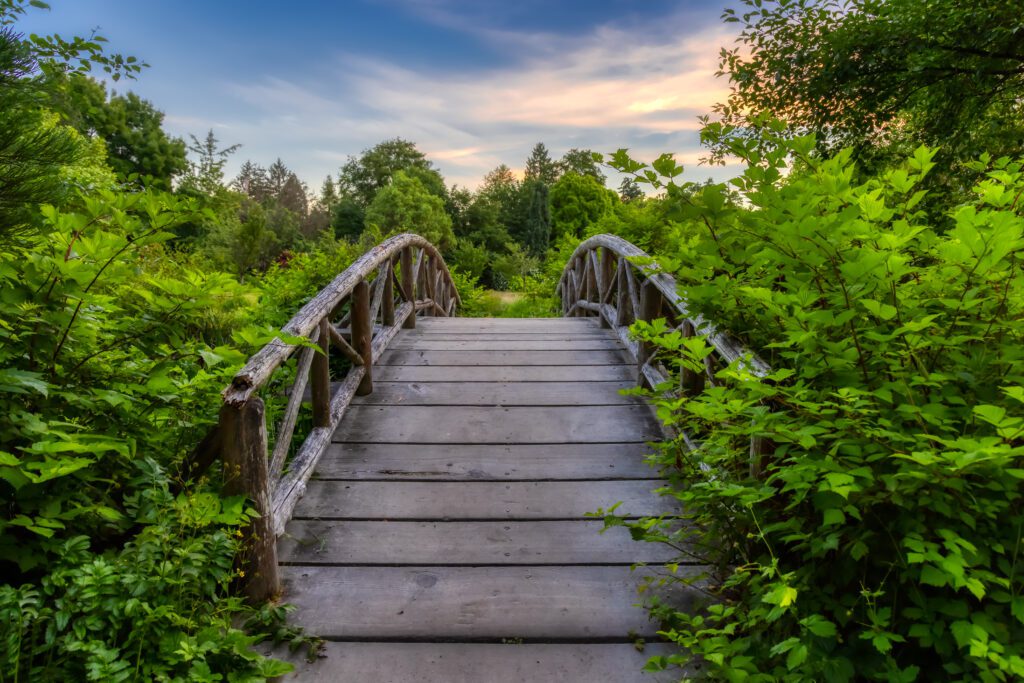 Holzbrücke in wilder Natur als Metapher für das Leben und die Erfahrung von Ersatzkindern, die Forschung, Wissenschaft und Psychotherapie vorantreiben kann